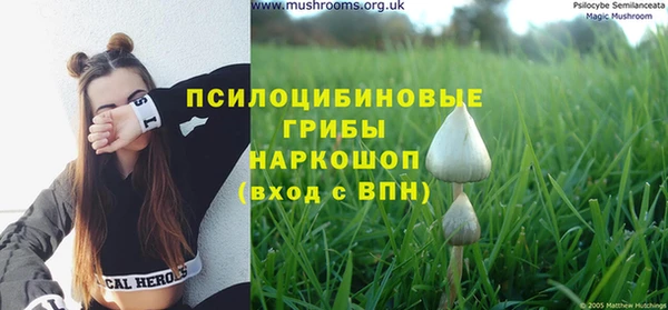 прущая мука Гусь-Хрустальный