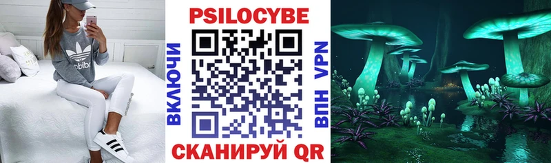 купить наркотик  Игра  Галлюциногенные грибы Cubensis 